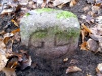 Philippseicher Wald